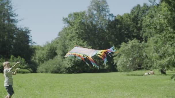 Kleine Jongen Lanceert Een Vlieger Het Park Vlieger — Stockvideo