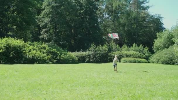 Kleine Jongen Lanceert Een Vlieger Het Park Vlieger — Stockvideo