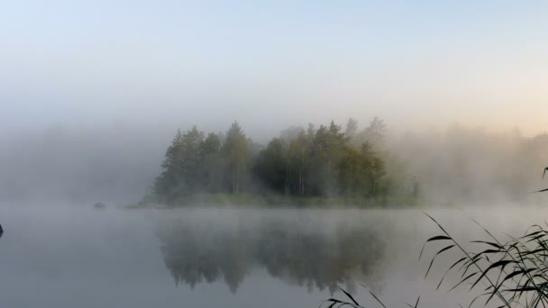 湖の朝の風景です 霧が穏やかな水の中で動いている 森の中の霧の朝 神秘的な雰囲気 — ストック動画