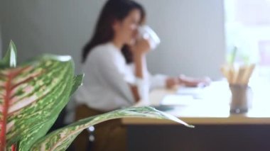 Ofiste çalışan genç bir kadın. Çekici bir ofis çalışanı masada oturuyor. İş kadını ofiste dizüstü bilgisayarda çalışmakla meşgul..