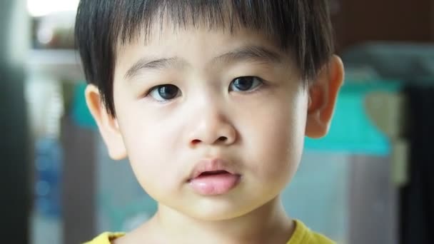 Asian Boy Little Children Boy Eye Contact Camera — Stock Video