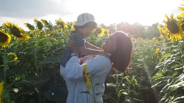 어머니는 아들을 해바라기 밭에서 웃는다 매력적 여자가 소년을 해바라기와 들판에 — 비디오