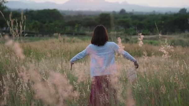 Vrouw Een Bloeiend Grasveld Een Schoonheidsjurk Steekt Armen Draait Zich — Stockvideo