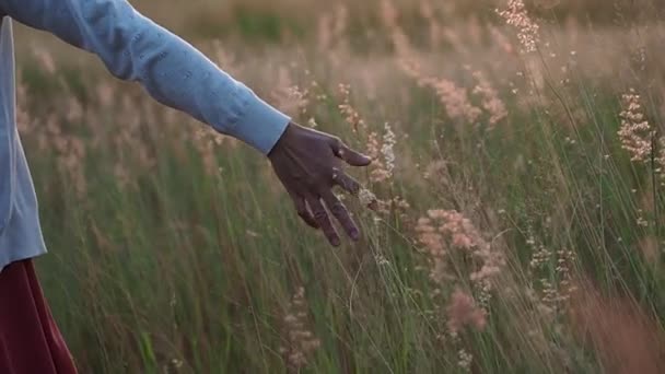 Vrouw Die Zomer Het Bloemengras Langs Het Pad Aanraakt — Stockvideo