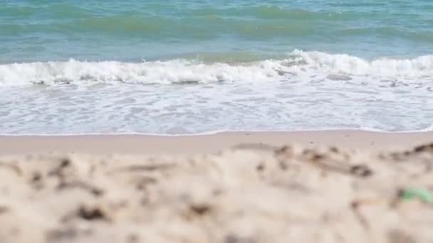 Zomerstrand Zand Het Leven Een Strand — Stockvideo