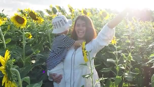 아들을 해바라기 밭에서 어머니 매력적 여자가 소년을 해바라기와 들판에 — 비디오
