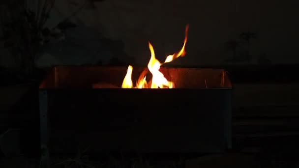 Llama Fuego Hoguera Ardiendo Por Noche — Vídeos de Stock