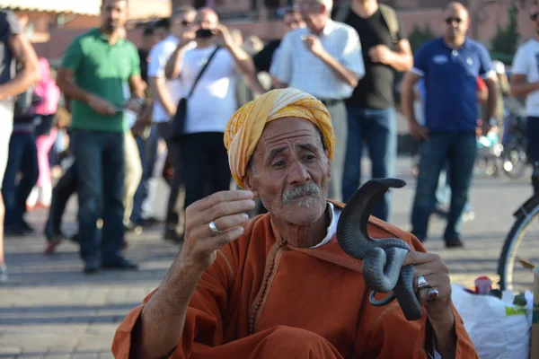 74 yaşındaki adam Marakeş 'te yılan gösterisi yapıyor.