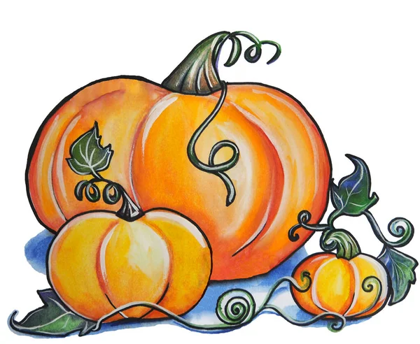 Orange pumpkins with leaves and curls — Stock Photo, Image