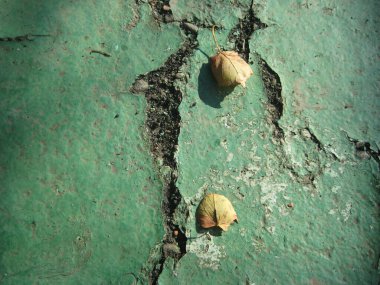 Güzel çatlakları olan yeşil doku.