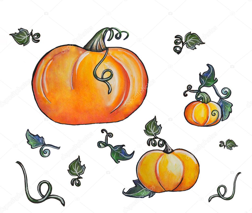 Set Orange pumpkins with leaves and curls