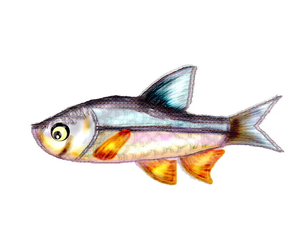 Parlak nehir meraklı balıklar gülümsüyor.