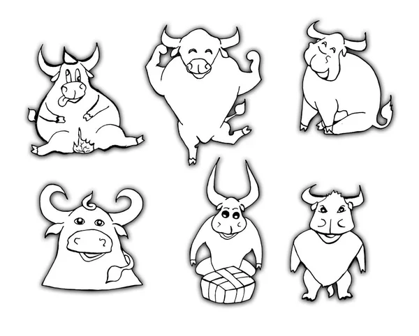 Set Van Leuke Grafische Stieren Wit Hoge Kwaliteit Illustratie — Stockfoto
