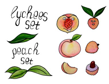 Lychees ve şeftaliler sette. Yüksek kalite çizim. Dekoratif tasarım için liçi ve şeftali kullanabilirsin. Yiyecek malzemeleri için şablon. Şeftali koleksiyonu.