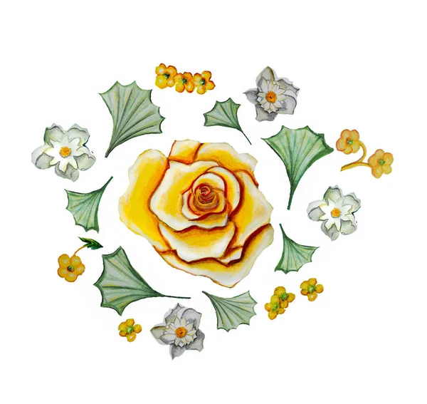 Rosa Amarela Bonita Com Flor Ilustração Alta Qualidade Verduras Abstratas — Fotografia de Stock