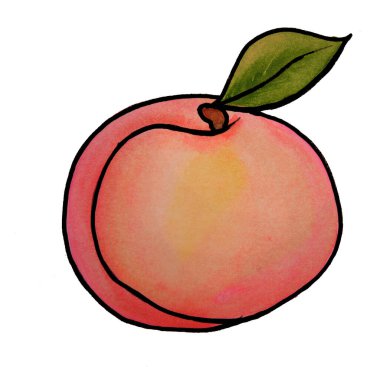 Yapraklı sulu pembe şeftali. Yüksek kalite çizim. Dekoratif tasarım için liçi ve şeftali kullanabilirsin. Yiyecek malzemeleri için şablon. Şeftali koleksiyonu.