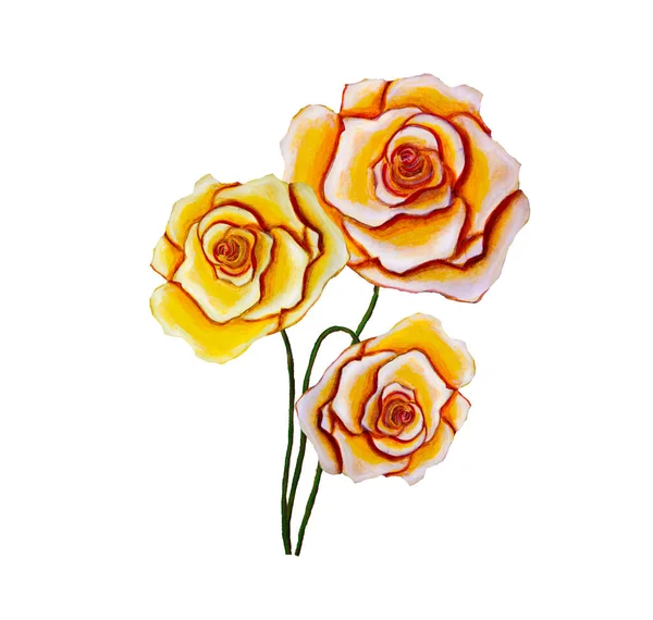 Bela rosa amarela no fundo branco — Fotografia de Stock
