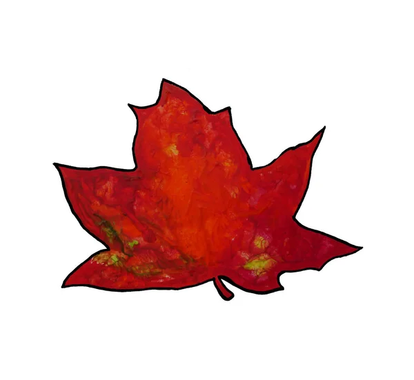 Red and green autumn leaf — Stock Photo, Image