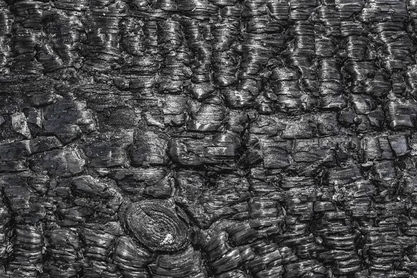 Burnt Black Wood Texture Abstract Pattern Barbecue Background — Stock Photo, Image