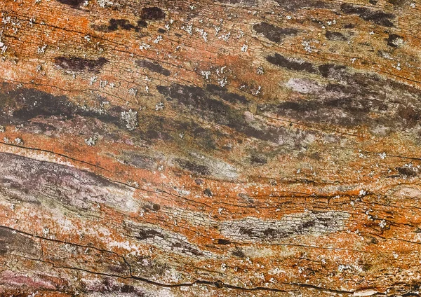 Texture Old Bark Wood Surface Abstract Pattern Background — Stock Photo, Image