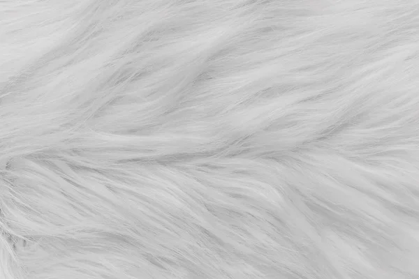 White Soft Fur Texture Fluffy Wool Background — Stock Photo, Image