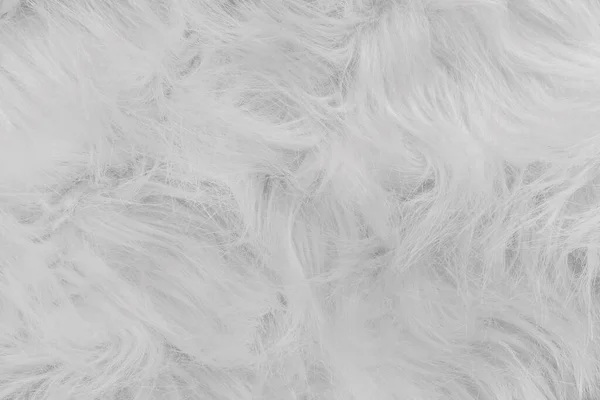 Λευκή Μαλλιαρή Υφή Αφαιρετικό Χνουδωτό Φόντο Γούνας — Φωτογραφία Αρχείου