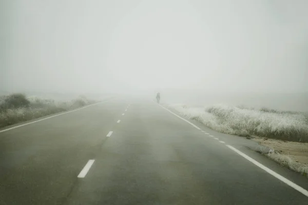 Road Cyclist Cold Fog Snow — Stock Photo, Image