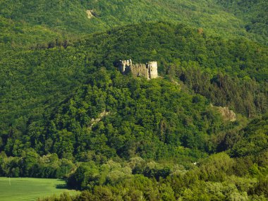 Güzel doğanın ortasında bir kale.