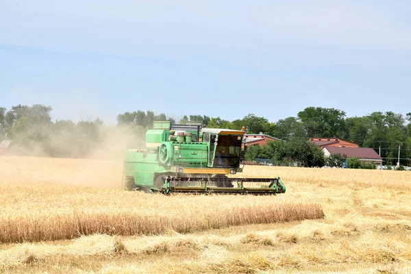収穫収穫麦畑を組み合わせる — ストック写真