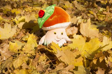 sonbaharda mantar şeklinde yumuşak oyuncak bırakır