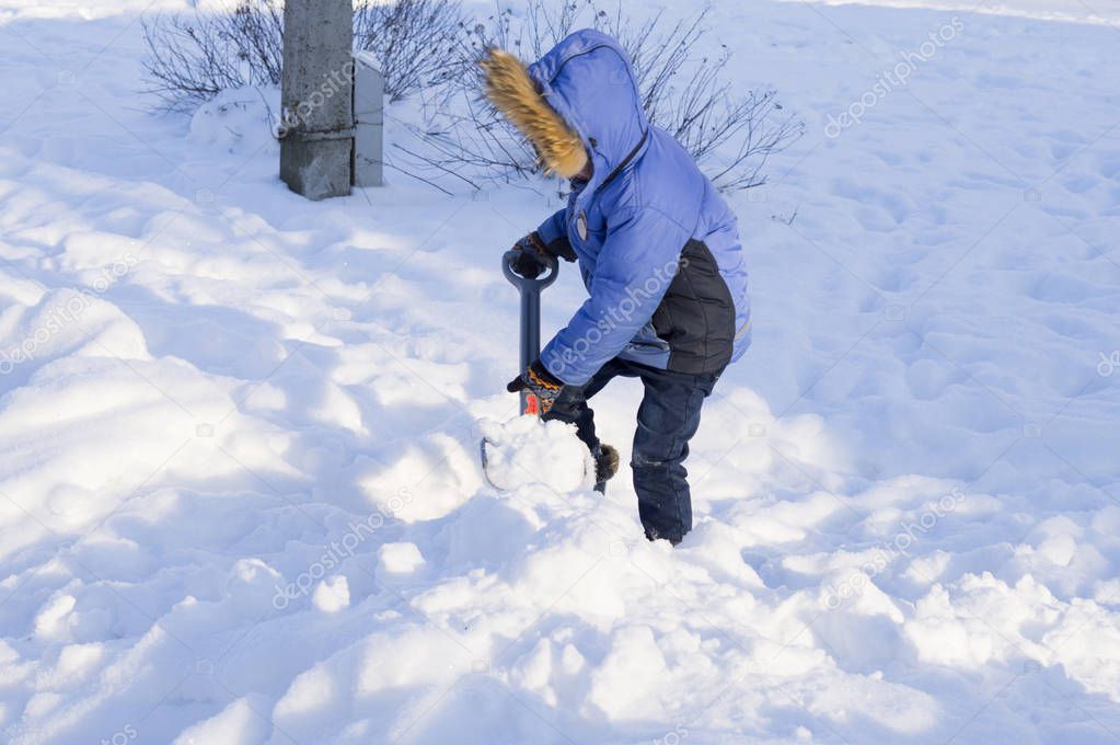 little boy digs snow shovel