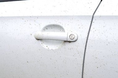 Arabanın kapısını üzerinde kir