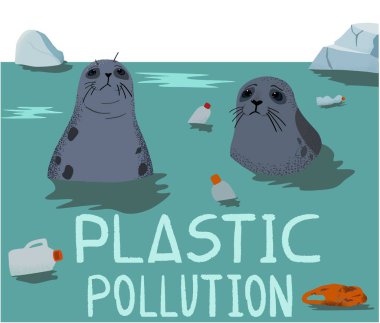 Okyanusların çevresel kirliliği sorunu