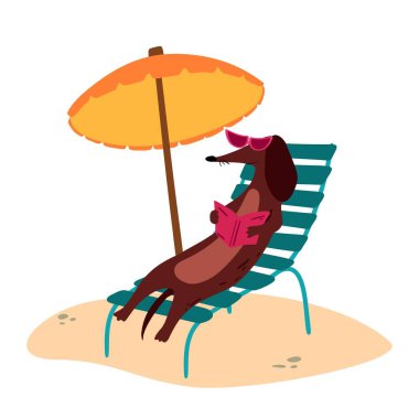 Kumsaldaki şirin bir Dachshund sosis köpeğinin vektör çizimi.