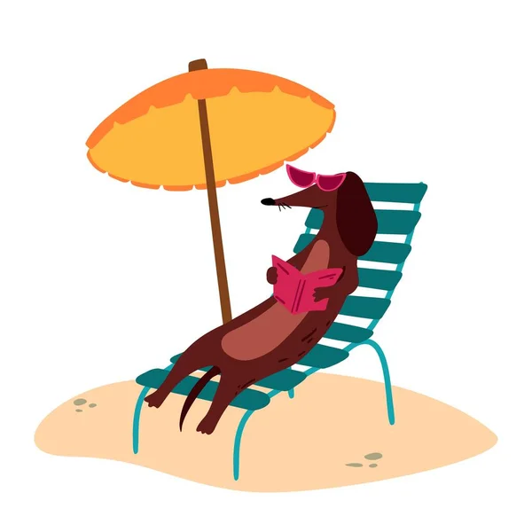 Een vector illustratie van een schattige Dachshund piener hond op een strand — Stockvector