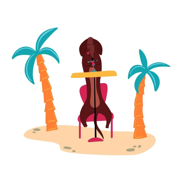 Wektorowa ilustracja milutkiego parówkowego psa jamnika na plaży. Bar na plaży i koktajle — Wektor stockowy