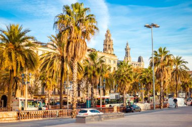 Palmiyeler ve mavi gökyüzü ile aydınlık bir yaz günü