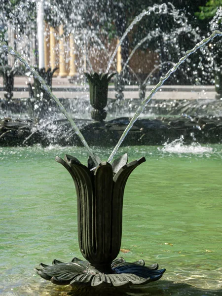 Çeşme ipliklerini ve damlaları parka kapatın