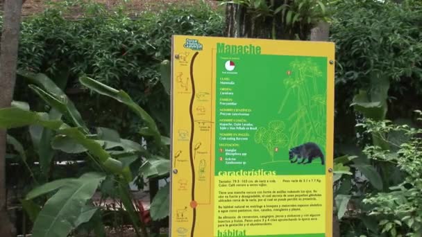 Landscaping dekat Museum Inti-Nan . — Stok Video