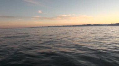 Kuşlarda kar Sahili ve su yüzeyi Arktik Okyanusu Svalbard içinde arka.