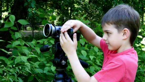 Kleiner Junge blickt in Videokamera im Hintergrund des grünen Parks. — Stockvideo