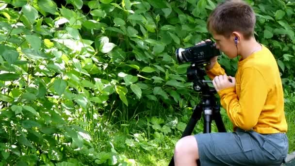 Young boy with video camera shoots film about nature of green park background. — Stock Video