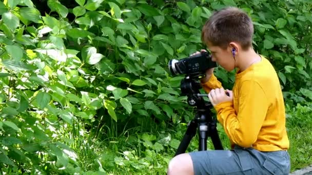 Ung pojke med videokamera skjuter film om natur grön park bakgrund. — Stockvideo