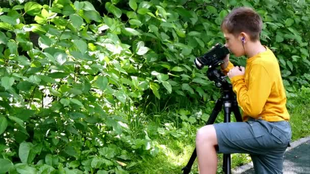 Young boy with video camera shoots film about nature of green park background. — Stock Video