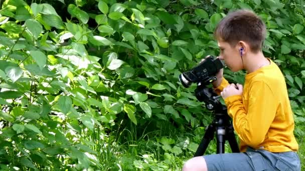 Ung pojke med videokamera skjuter film om natur grön park bakgrund. — Stockvideo