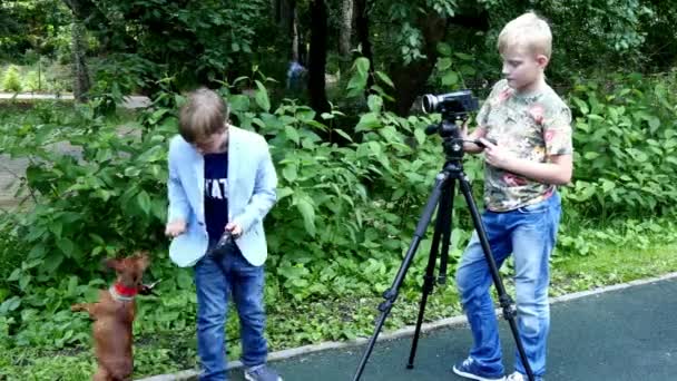 비디오 카메라와 함께 어린 소년 쏘고 녹색 공원에 강아지에 대 한 영화. — 비디오