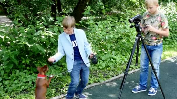 Jovem com câmera de vídeo dispara filme sobre cão no parque verde . — Vídeo de Stock