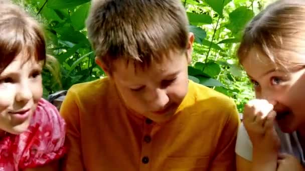 Children with video camera on bench in a green park slow motion. — Stock Video