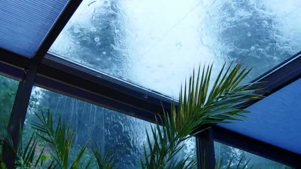 Lluvia exterior ventanas de verde jardín de invierno . — Vídeo de stock