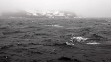 Dalgalar ve sis kar rock Okyanusu Antarktika arka plan üzerinde.